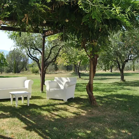 Corbezzolo Vallo della Lucania